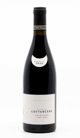 COTTENCEAU MAXIME - Bourgogne Pinot Noir 2020
