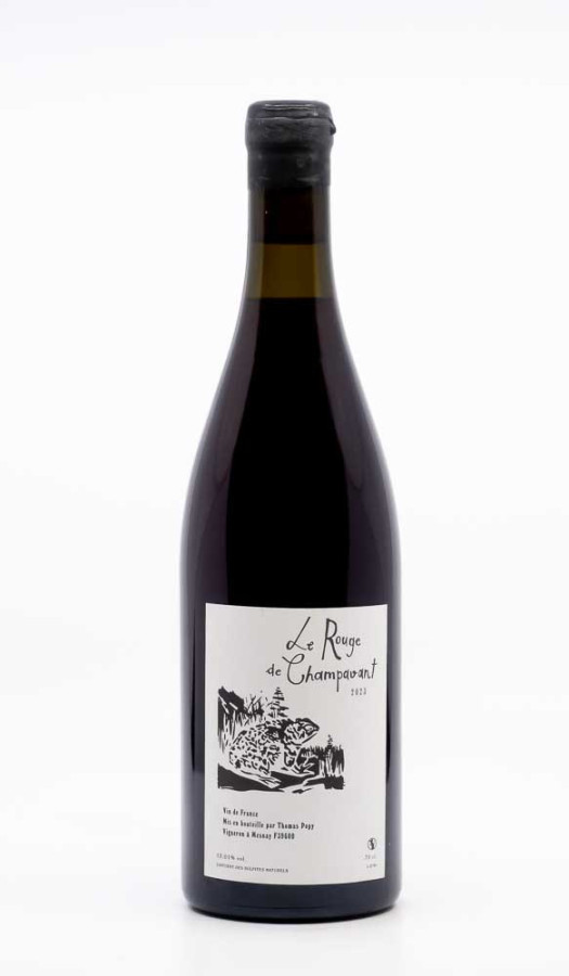 POPY THOMAS - Le Rouge de Champavant 2023 red, wine  from vin de france