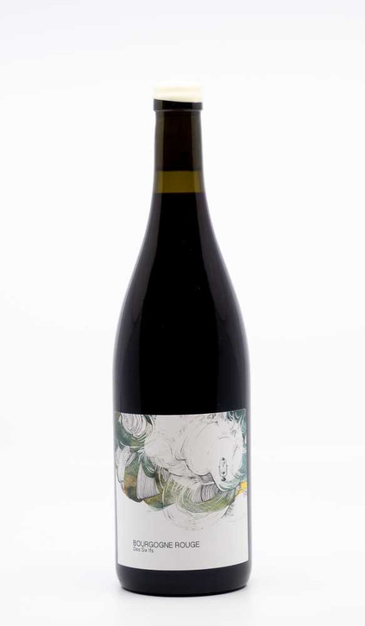 LES HOREES - Bourgogne Rouge Des Six Ifs 2023 rouge, vin régional de bourgogne pinot noir