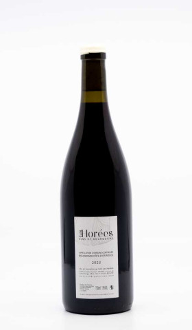 LES HOREES - Bourgogne Rouge Des Six Ifs 2023 rouge, vin régional de bourgogne pinot noir