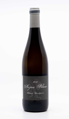 BOUDIGNON THIBAUD - Anjou 2023