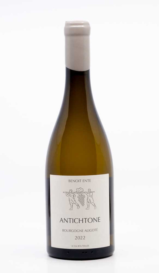 ENTE BENOIT - Bourgogne Aligoté Antichtone 2022