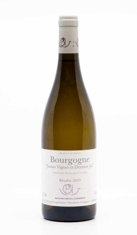 GUFFENS HEYNEN - Bourgogne Jeunes Vignes et Derniers Jus 2023 blanc, vin  de bourgogne