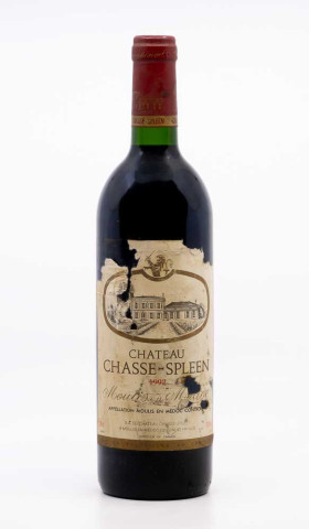 CHÂTEAU CHASSE SPLEEN - Moulis en Médoc 1992 rouge, vin  de moulis en médoc