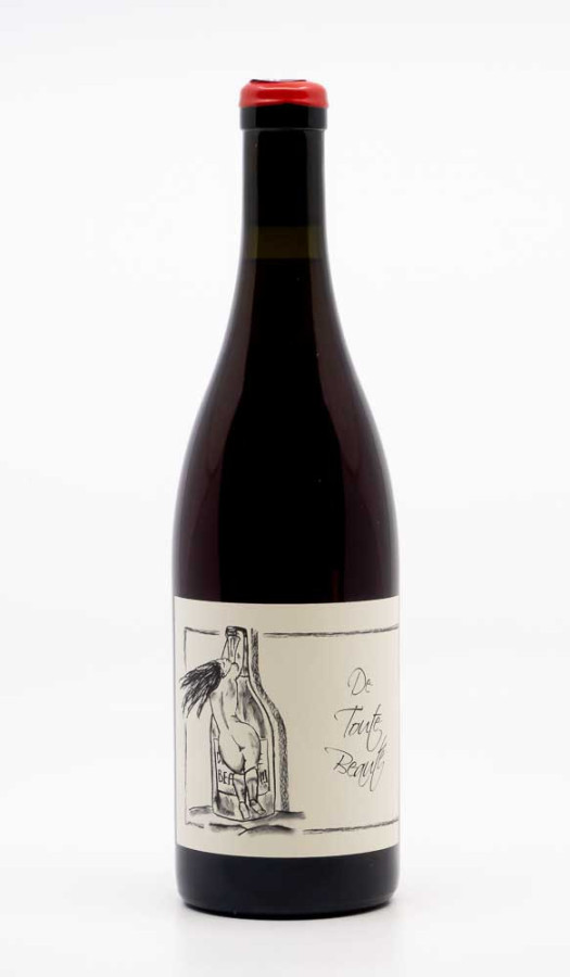 GANEVAT ANNE ET JEAN FRANCOIS - Vin de France De Toute Beauté 2024 rouge, vin  de vin de france
