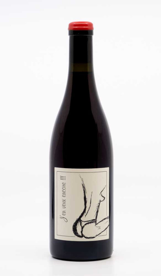 GANEVAT ANNE ET JEAN FRANCOIS - Vin de France J'en Veux Encore