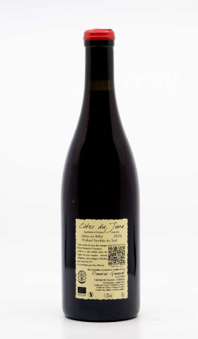 GANEVAT - Côtes du Jura l'Enfant Terrible du Sud 2024