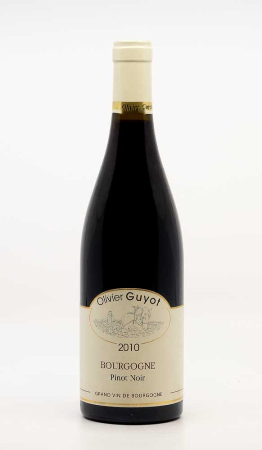 GUYOT OLIVIER - Bourgogne Pinot Noir 2010 rouge, vin régional de bourgogne pinot noir