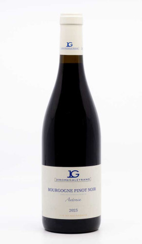 GALEYRAND JEROME - Bourgogne Pinot Noir Antonin 2023 rouge, vin régional de bourgogne pinot noir