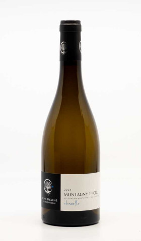 BEAUNE ALINE - Montagny 1er Cru Chazelle 2024 white, wine 1er cru from montagny 1er cru