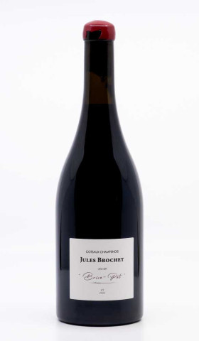 BROCHET JULES - Coteaux Champenois Brise Pot 2022
