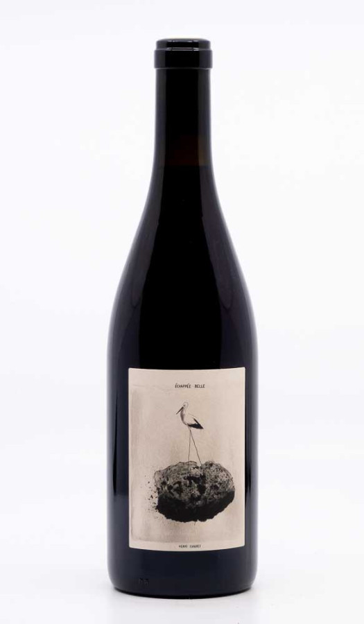 CHAUVET HENRI - Vin de France Echappée Belle 2024 rouge, vin  de vin de france