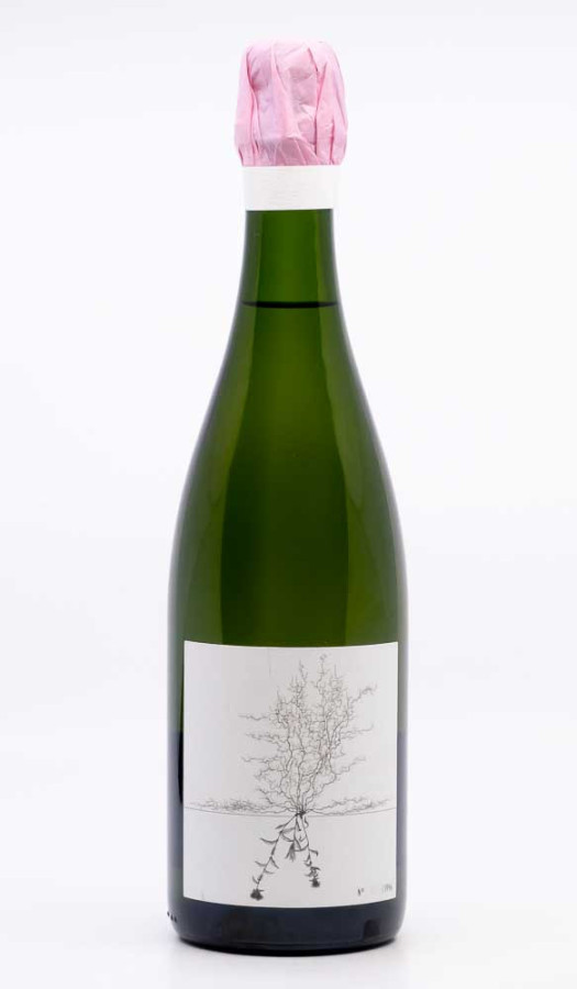 AUFRICHT JOHANNES - Blanc de Blancs Nature