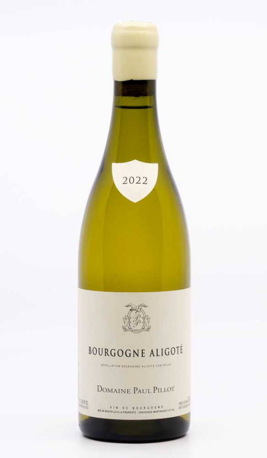 PILLOT PAUL - Bourgogne Aligoté 2022 blanc, vin régional de bourgogne aligoté