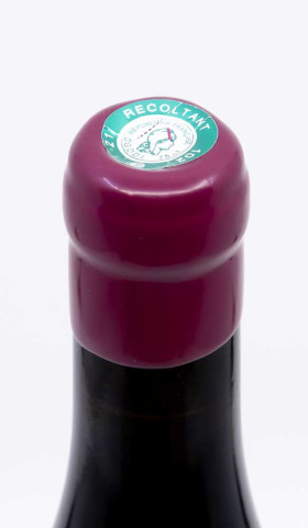 BERTHAUT GERBET - Vosne Romanée 1er Cru Petits Monts 2024